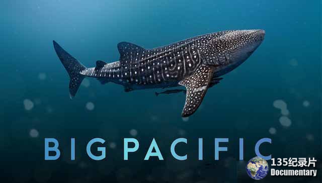 Big-Pacific.jpg