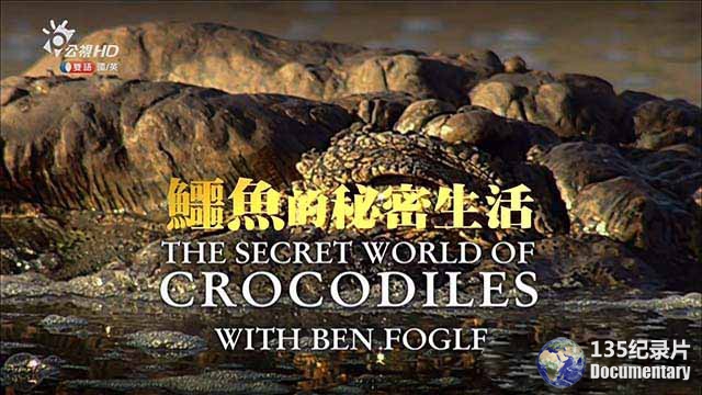 The-Secret-Life-of-Crocodiles.jpg