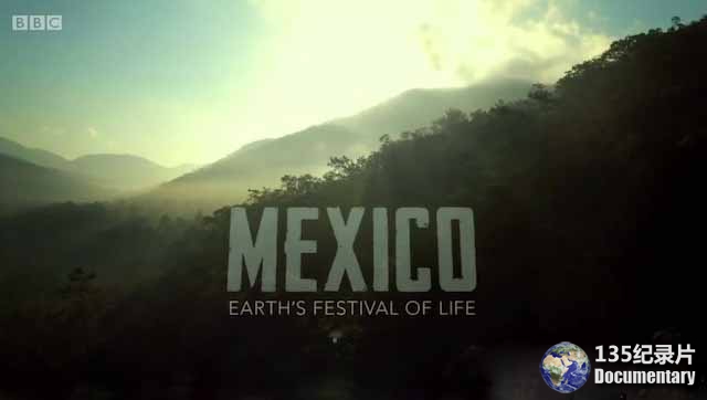 Mexico-Earths-Festival-Of-Life.jpg