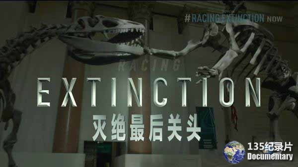 Racing-Extinction1.jpg