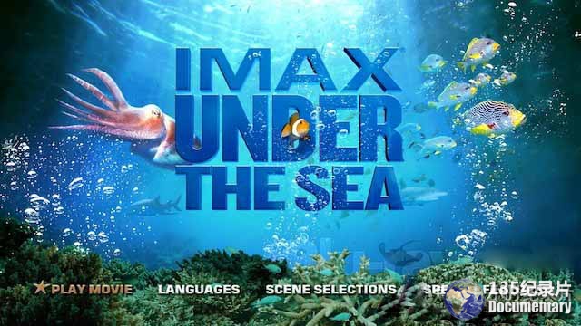 Under-The-Sea.jpg