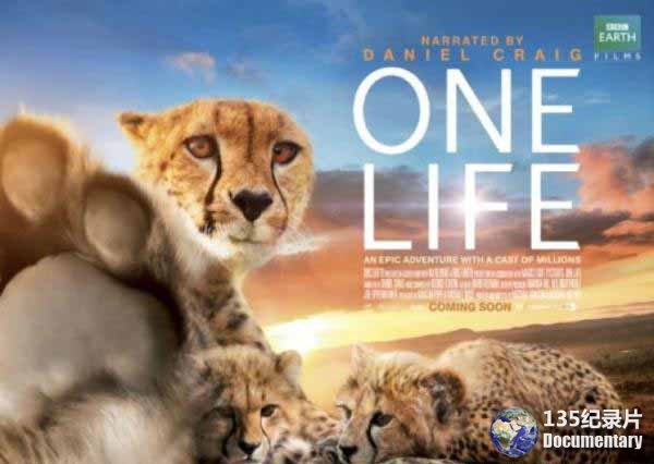 One-Life7.jpg