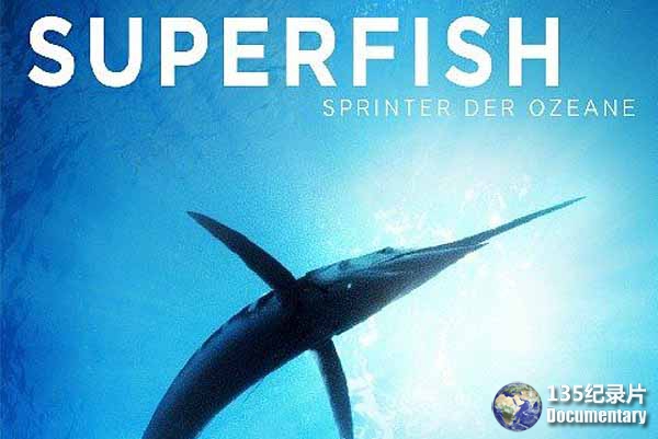 Superfish.jpg