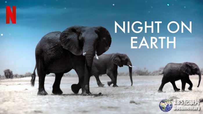 Night-on-Earth.jpg