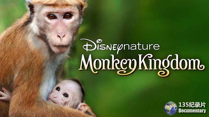 Monkey-Kingdom.jpg