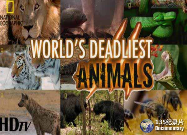 Worlds-Deadliest-Animals7.jpg
