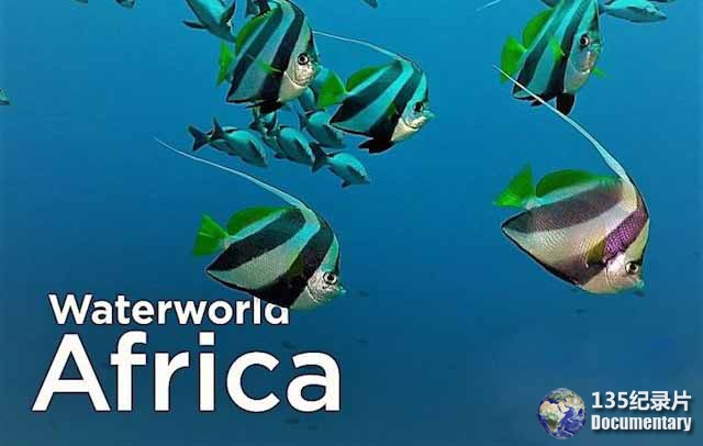 Waterworld-Africa.jpg
