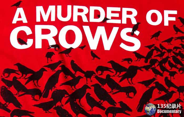 A-Murder-of-Crows.jpg