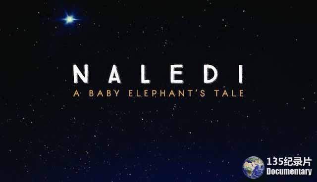 Naledi-A-Baby-Elephants-Tale.jpg