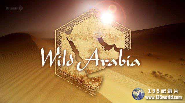Wild-Arabia.jpg