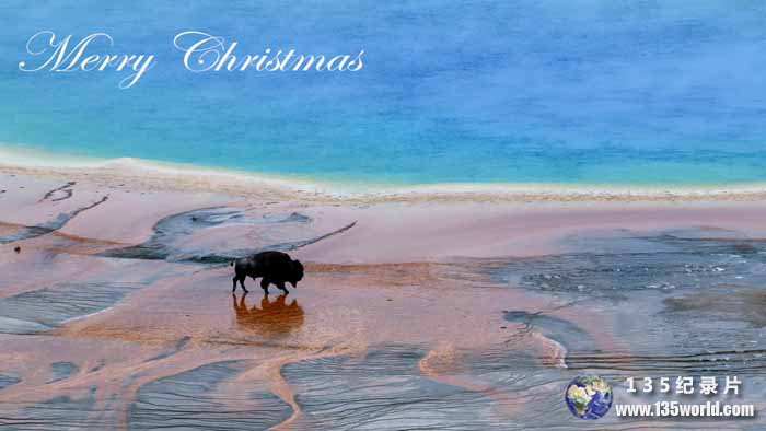 Christmas-in-Yellowstone.jpg