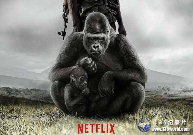 Virunga.jpg