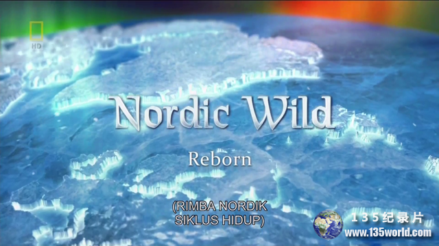 Nordic-Wild-21.png