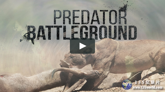 Predator-Battleground.png
