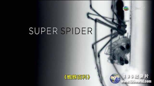 Super-Spider.jpg