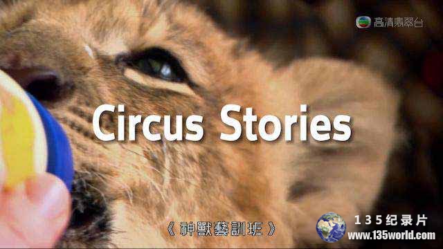 Circus-Stories.jpg