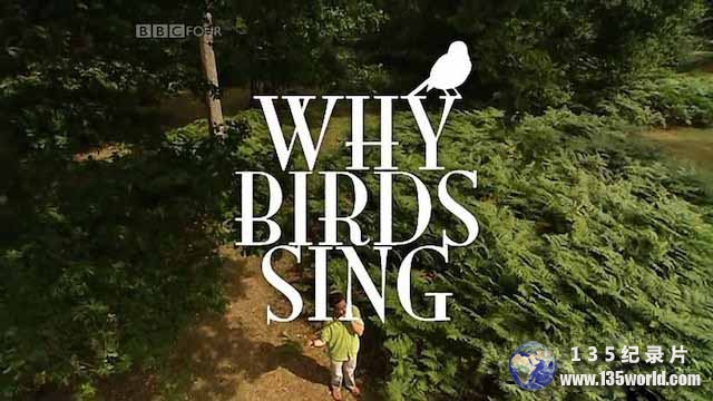 Why-Birds-Sing.jpg