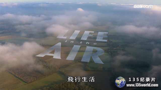 Life-in-the-Air.jpg