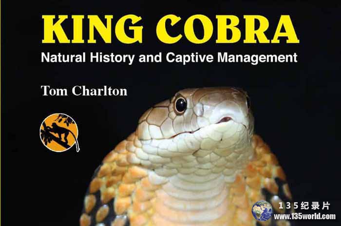 kingcobra-cover.jpg