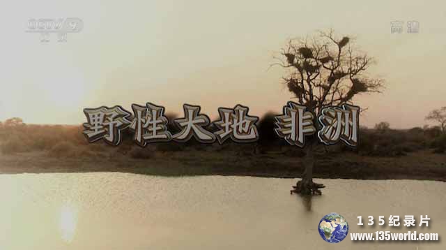 African-Wild.jpg