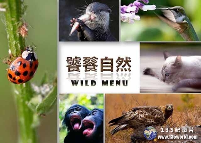 Wild-Menu.jpg