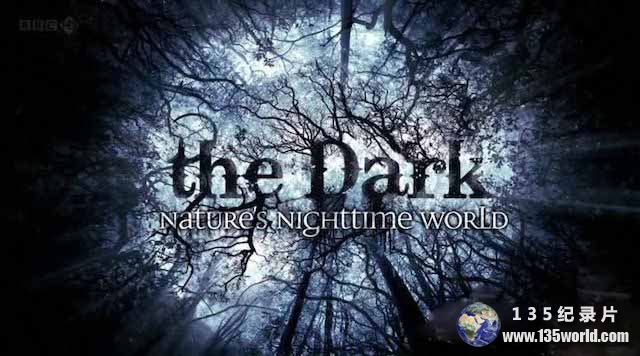 The-Dark.jpg