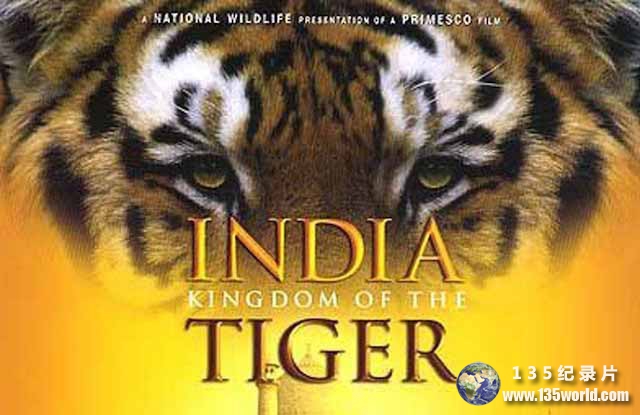 India-Kingdom-of-the-Tiger-1.jpg
