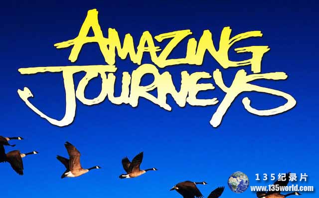 Amazing-Journeys-4.jpg