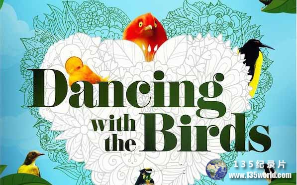 Dancing-with-the-Birds.jpg