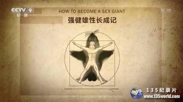 xiongxing.jpg