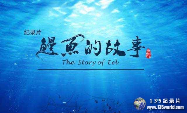 The-Story-of-Eel.jpg