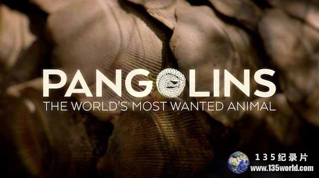 Pangolins.jpg