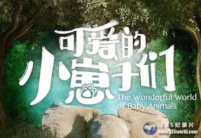The-Wonderful-World-of-Baby-Animals.jpg