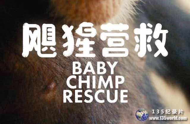 Baby-Chimp-Rescue.jpg