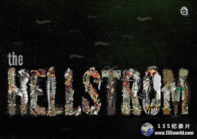 The-Hellstrom-Chronicle.jpg