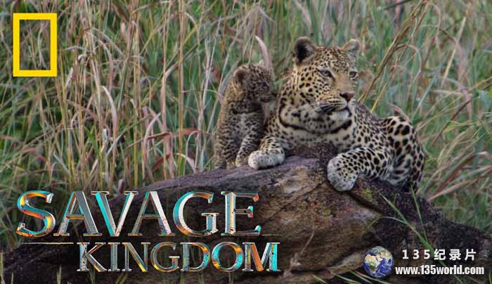 Savage-Kingdom-S2.jpg