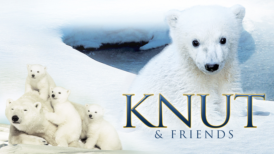 Knut-And-Friends.jpg