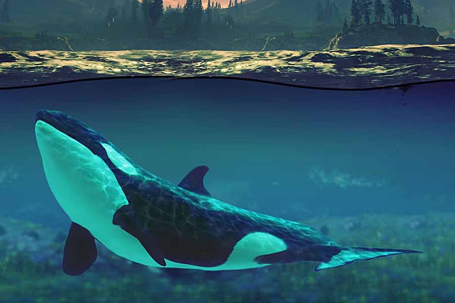 A-Killer-Whale-Called-Luna.jpg