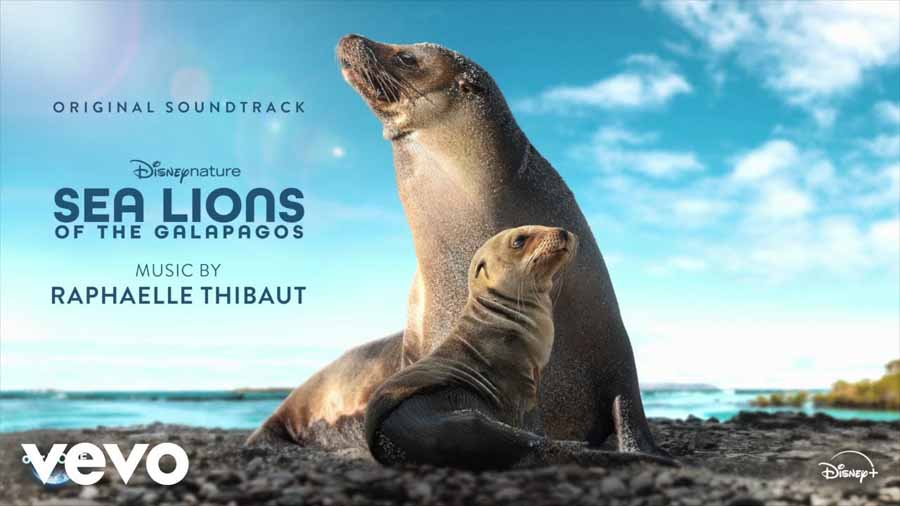Sea-Lions-of-the-Galapagos.jpg