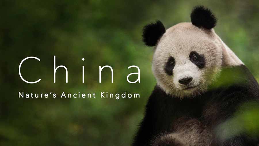 China-Natures-Ancient-Kingdom.jpg