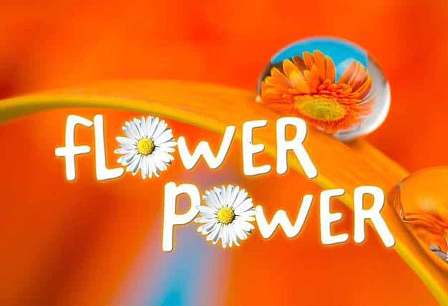 Flower-Power.jpg