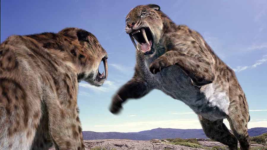 Walking-With-Beasts.jpg