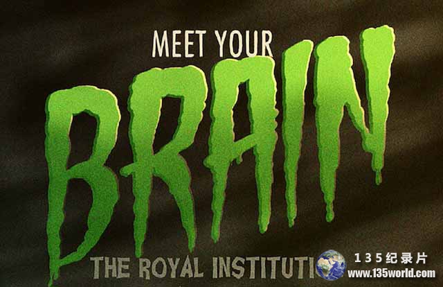 Meet-Your-Brain.jpg