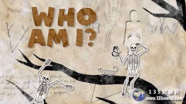 Who-Am-I-2.jpg
