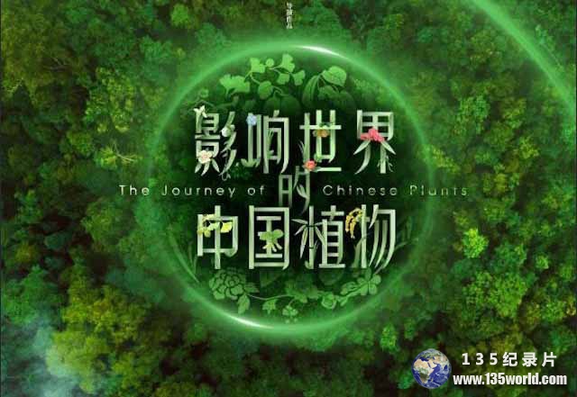 The-Journey-of-Chinese-Plants-1.jpg