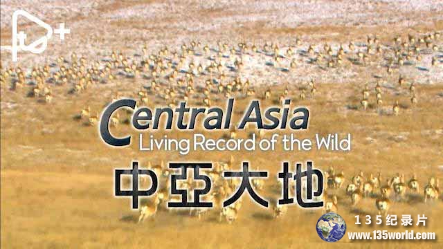 Central-Asia.jpg