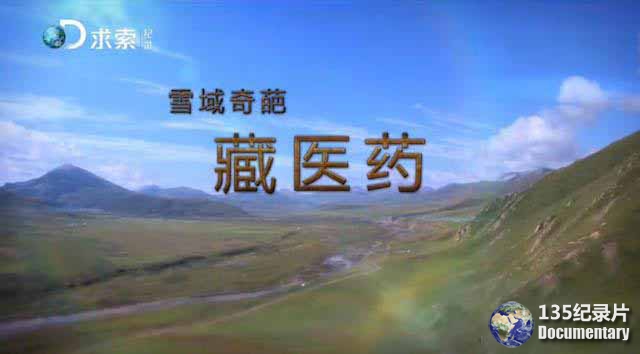 zangyiyao-21.jpg