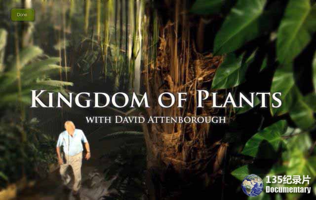 Kingdom-of-Plants1.jpg