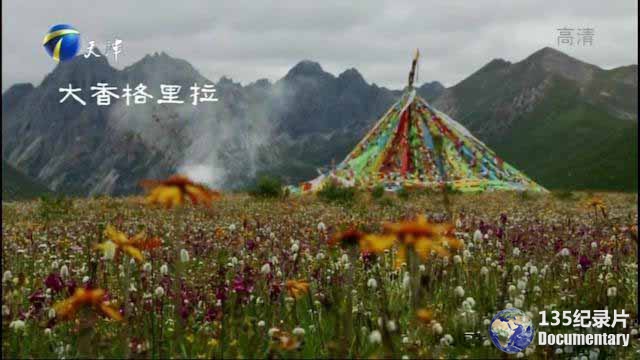 daxianggelila.jpg