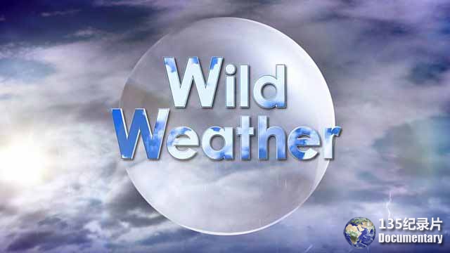 wild-weather.jpg